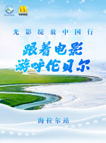 绿色椅子